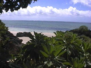 ���΂̊C��