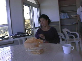 �啪��ꂽ���v�ۂ����