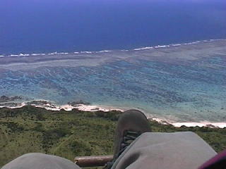 �Ɍ��Ԃ̃��[�t