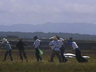 �����~�낷�̂ɂV�l������