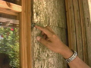 �e���߂荞��ł���