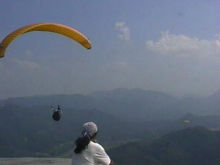 �c�����񂪌�����Ă���H