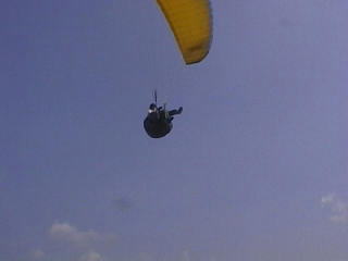 ������I�g�b�v�A�E�g���I