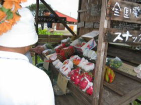 �u�͂��ʂ����܁v�̓W����