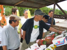 ���ꂪ�|���̂�`