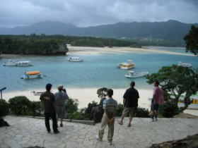 �약�p�i�J�r�������j�̃O���X�{�[�g