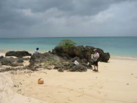 ���ΊC�݂ŃV���m�[�P�����O