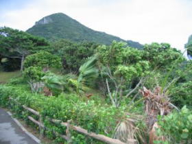 �����ŗt���ς���؂ꂻ���I