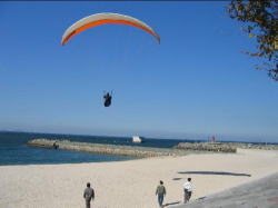 �͌�����̃����f�B���O