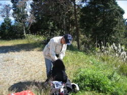 �|�䂳�������