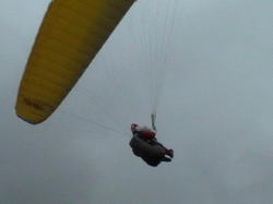 �s�ǂ��₶�T���^