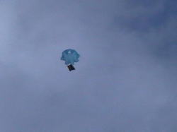 ���َq�̃p���V���[�g