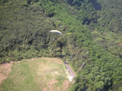 �e�C�N�I�t�����