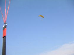 �͌������s�ǂ��₶��]��