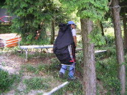 ��������̎���n�[�l�X