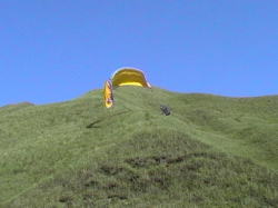 �L���m�s�[���藎������