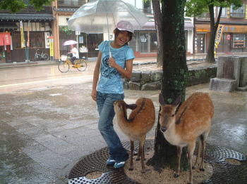 �����p�b�����