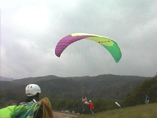 �����Ǝ��̈ʒu���L�[�v���Ă���p�b�����