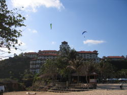 �j�b�R�[�z�e�����b�W�ŃX�e�C