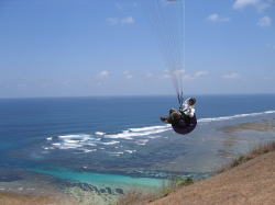 �|�䂳��̃e�C�N�I�t