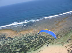 �|�{���񂩂�ォ��B���Ă��܂���