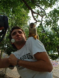 �C�{���ƃ��X����