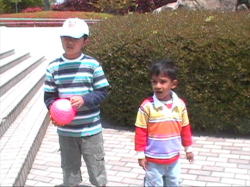 ���������ƃ_�[�V��