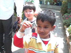 �������ރ_�[�V��