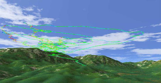 ���Ǝ��͂�����ł��グ�����̂����G���A��