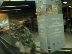 �n����`�̃C�o���B��{�����^�[���e�[�u�����Ȃ�