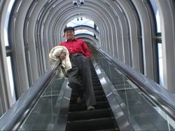 �r�����q���G�X�J���[�^