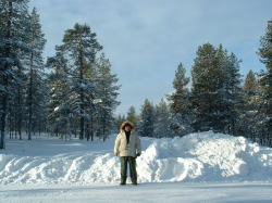 ��C�̓L�[���Ƃ��Ă���