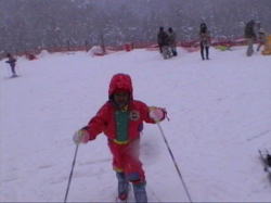 �_�b�V�����N�i�T�΁j