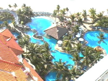 �j�b�R�[�o���z�e���̃v�[���S�I