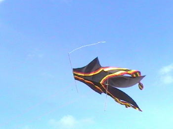 �o���̑�������������