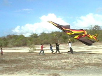 �S���~�����炢�̑傫���L��