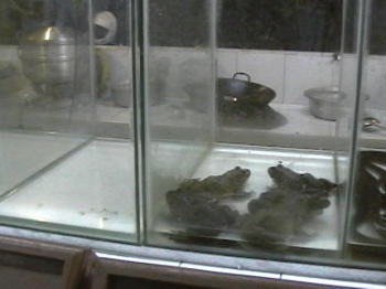 ���̌�����̈ݑ܂ɁE�E�E