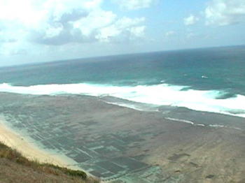 �e�B���r�X�̃e�C�N�I�t�O�i