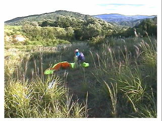 �����Ȃ��������Ɉ��������āE�E�E�E