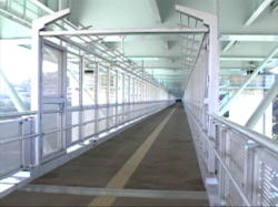 ���̉��̕�����