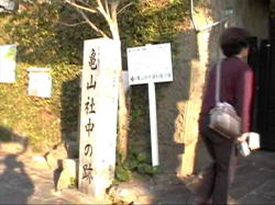 �T�R�В���