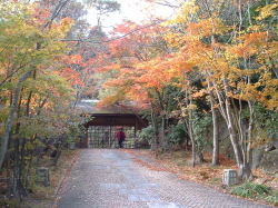 �������g�t����