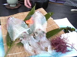 �C�J�����͐����Ă���