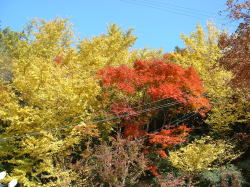 �����ߓ����̍g�t