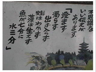 ����̒r���s�v�c