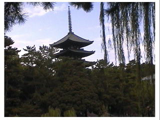 �������̌܏d��