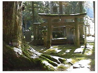 �����Ƃ̕�B�Ȃ����������H�H�E�E�E�E