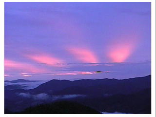 �[���̑т��_�Ԃ���˂��āI�I