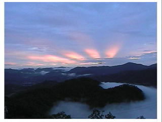 �_�C�̔ޕ��E�E�[����m���R