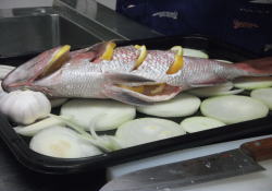 �ʂ˂��̗֐؂�̐Q�������A��������y�����݂܂��B